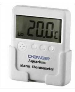 �� ��� ������� ��������� ���� ����� Chaning