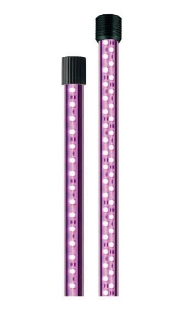 ����� �����������