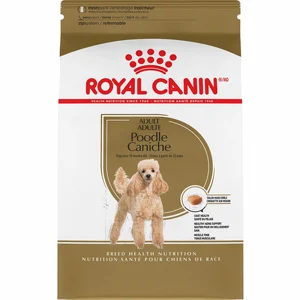   1.5 "       ,   10  Royal Canin Poodle Adult