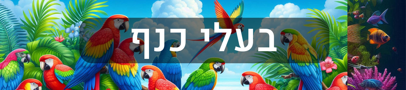 תוכים ובעלי כנף תוכים ובעלי כנף